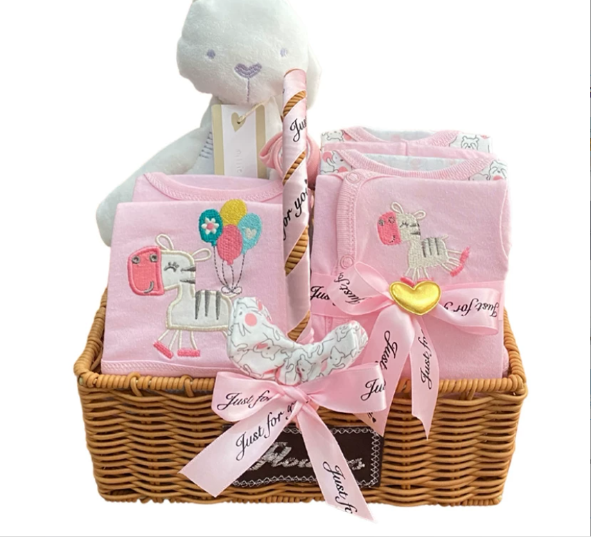 Cozy Newborn Baby Clothing Set Gift Box - One Set
